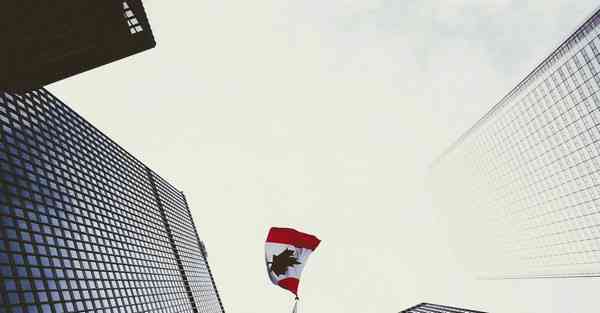 香菜配皮蛋_香菜配皮蛋怎么做