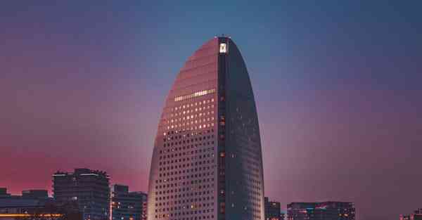 仿真品什么意思