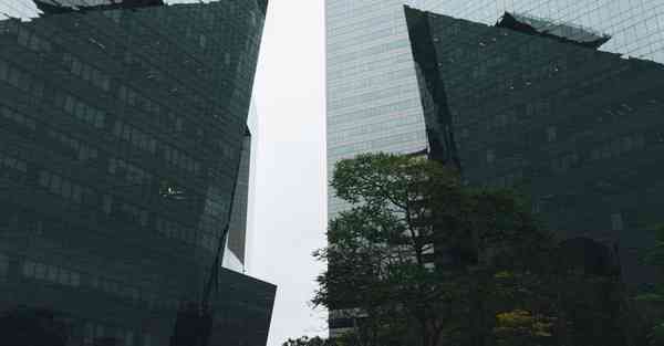 彭十六直播回放视频_彭十六直播回放