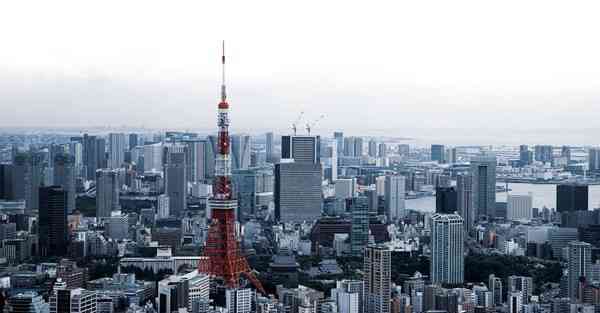 猫和老鼠动画片全集国语免费_猫和老鼠动画片全集国语免费观看