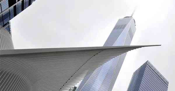 黎明拍摄mv_蓝猫配什么猫好